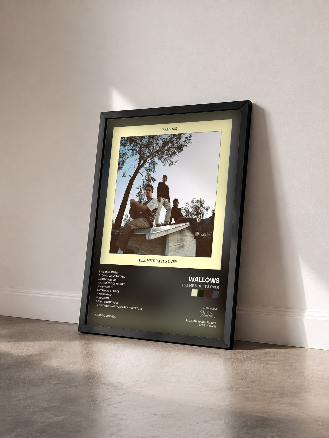 #noir Tableau de l'album Tell Me That It’s Over de Wallows vu de trois quarts, cadre noir