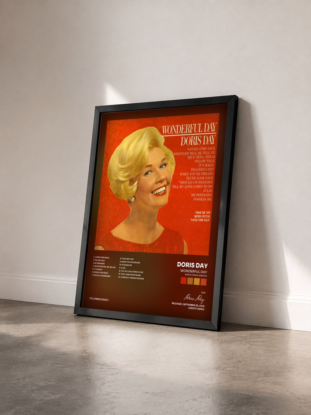 #noir Tableau de l'album Wonderful Day (Bonus Track Version) de Doris Day vu de trois quarts, cadre noir