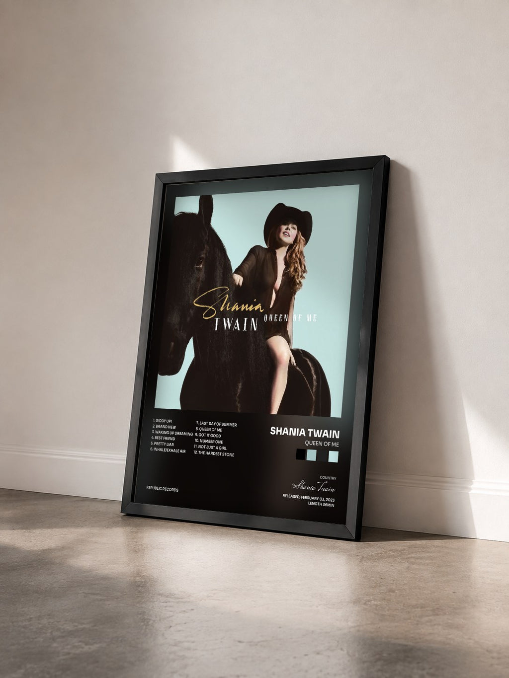 #noir Tableau de l'album Queen Of Me de Shania Twain vu de trois quarts, cadre noir