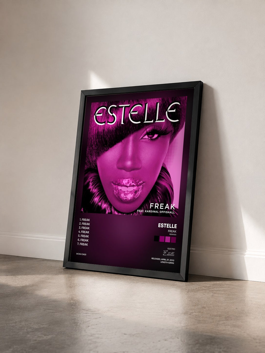 #noir Tableau de l'album Freak (Remixes) de Estelle vu de trois quarts, cadre noir