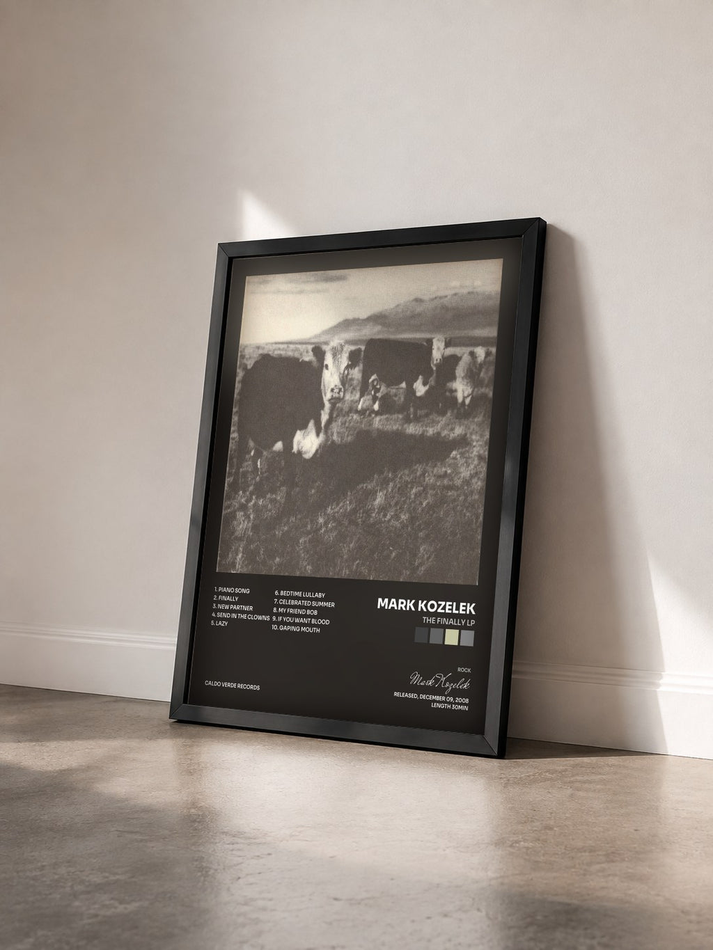 #noir Tableau de l'album The Finally Lp de Mark Kozelek vu de trois quarts, cadre noir