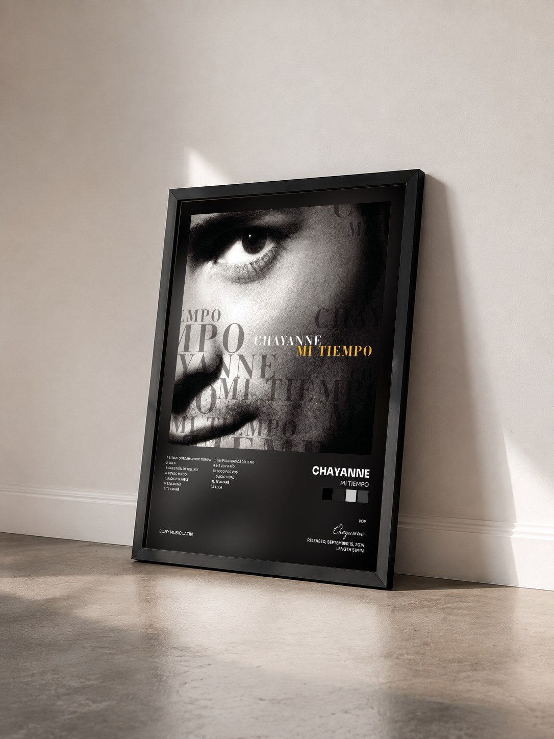 #noir Tableau de l'album Mi Tiempo de Chayanne vu de trois quarts, cadre noir