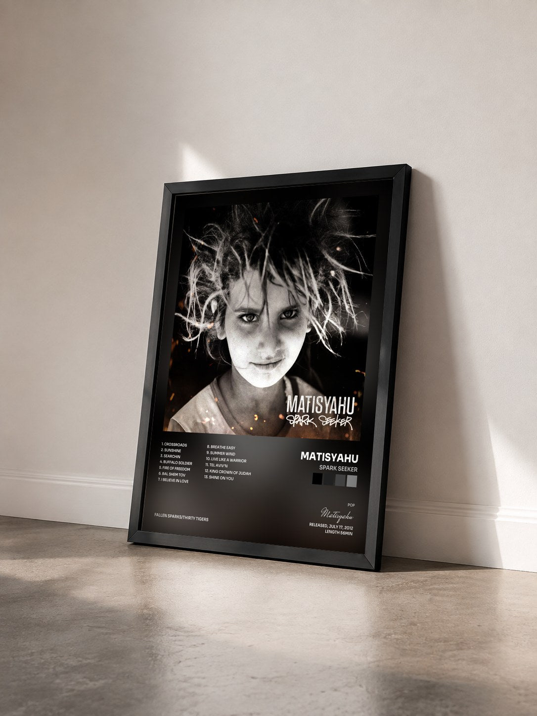 #noir Tableau de l'album Spark Seeker de Matisyahu vu de trois quarts, cadre noir