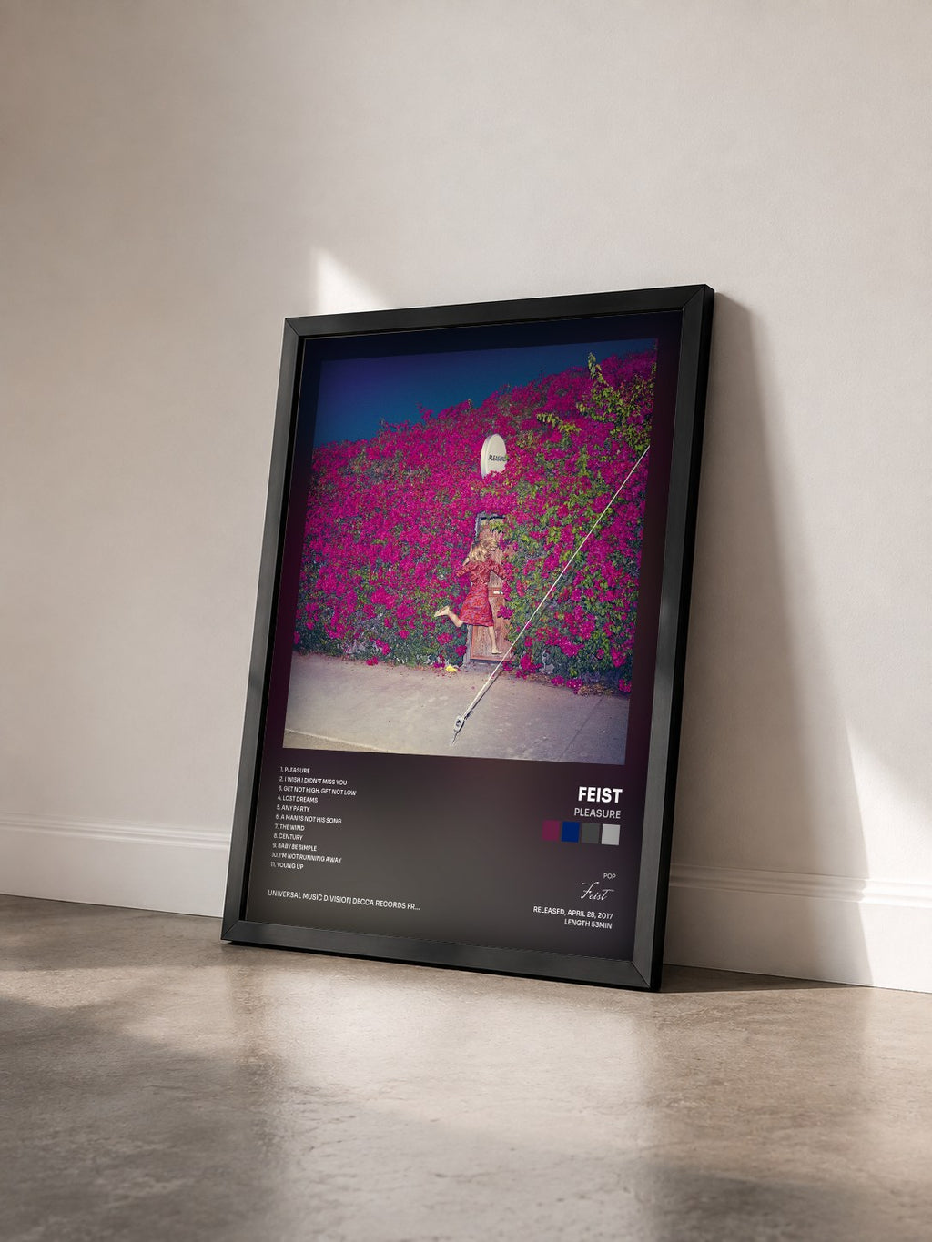 #noir Tableau de l'album Pleasure de Feist vu de trois quarts, cadre noir