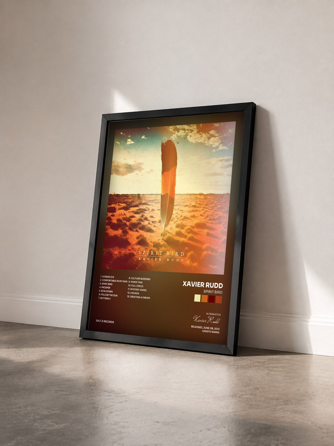 #noir Tableau de l'album Spirit Bird de Xavier Rudd vu de trois quarts, cadre noir