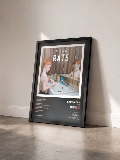 #noir Tableau de l'album Rats de Balthazar vu de trois quarts, cadre noir