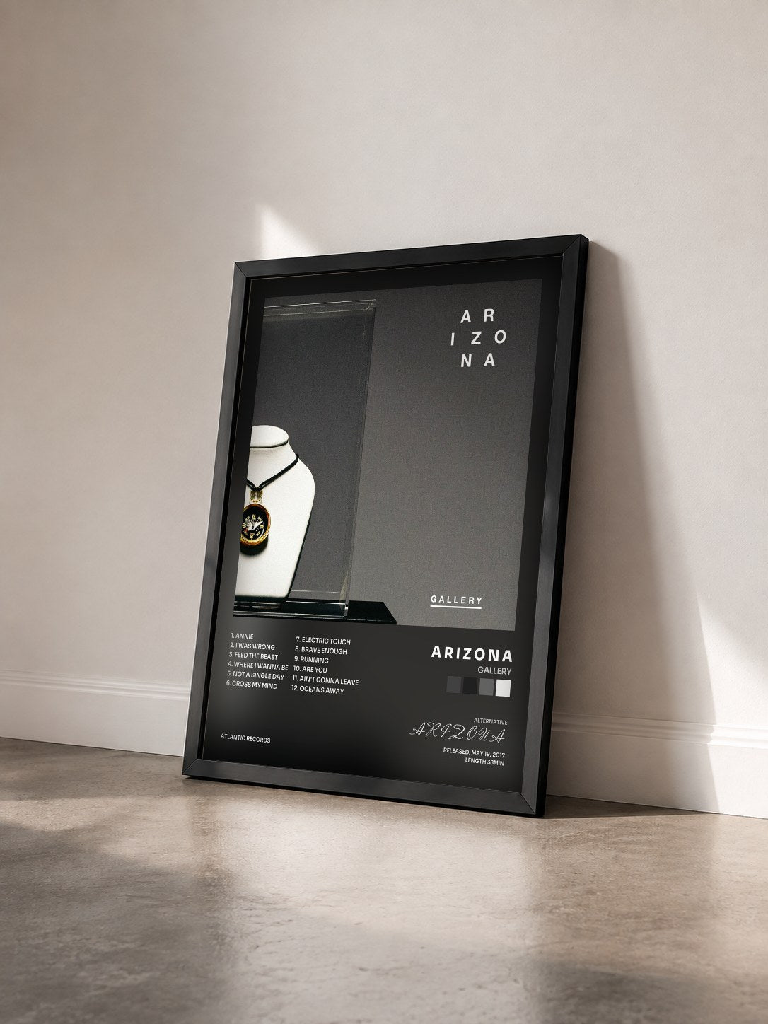 #noir Tableau de l'album GALLERY de A R I Z O N A vu de trois quarts, cadre noir