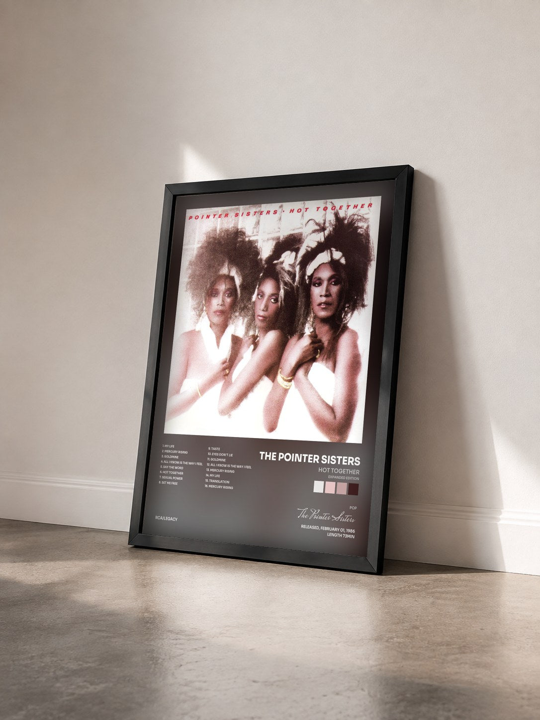 #noir Tableau de l'album Hot Together (Expanded Edition) de The Pointer Sisters vu de trois quarts, cadre noir