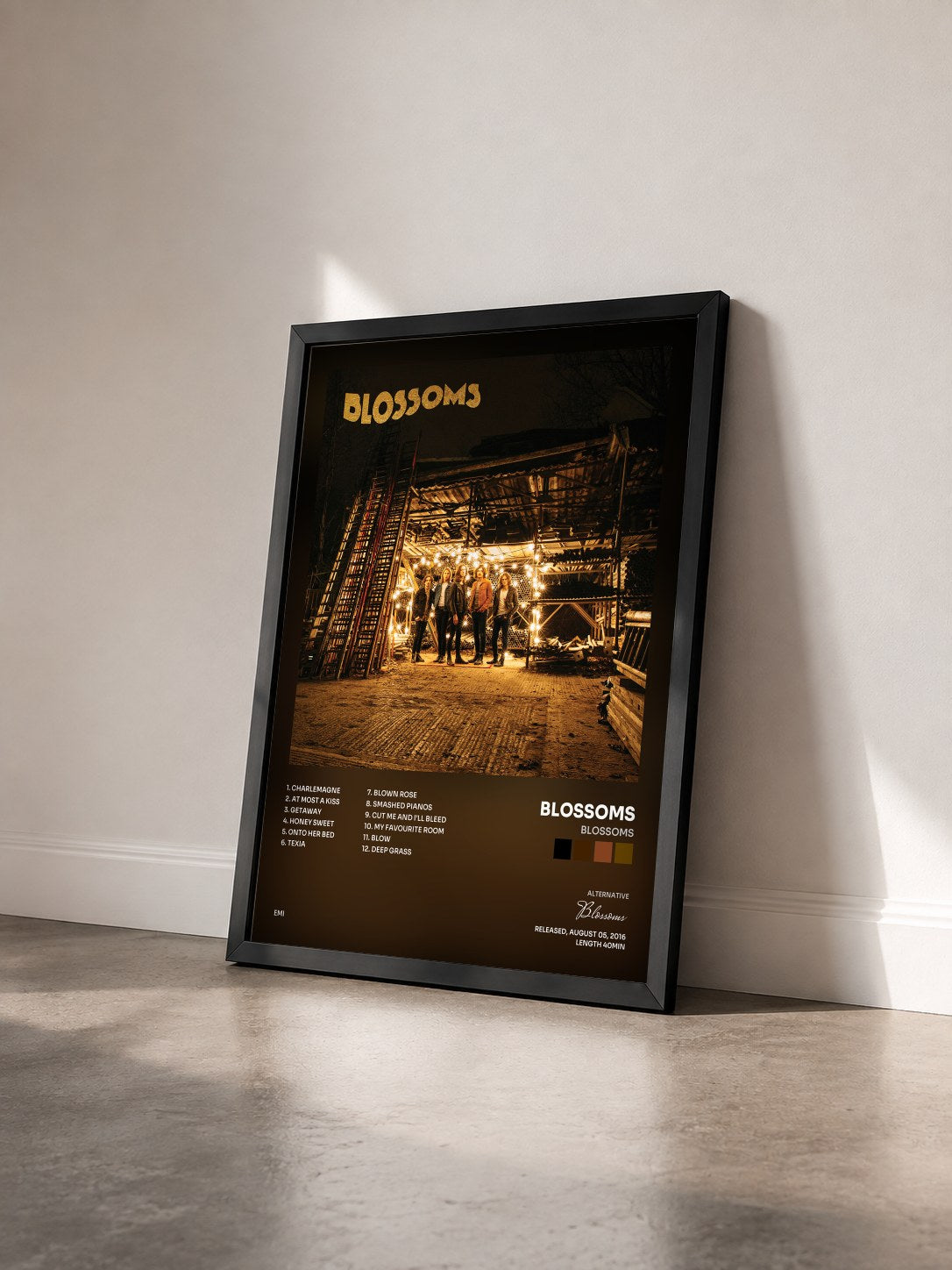 #noir Tableau de l'album Blossoms de Blossoms vu de trois quarts, cadre noir