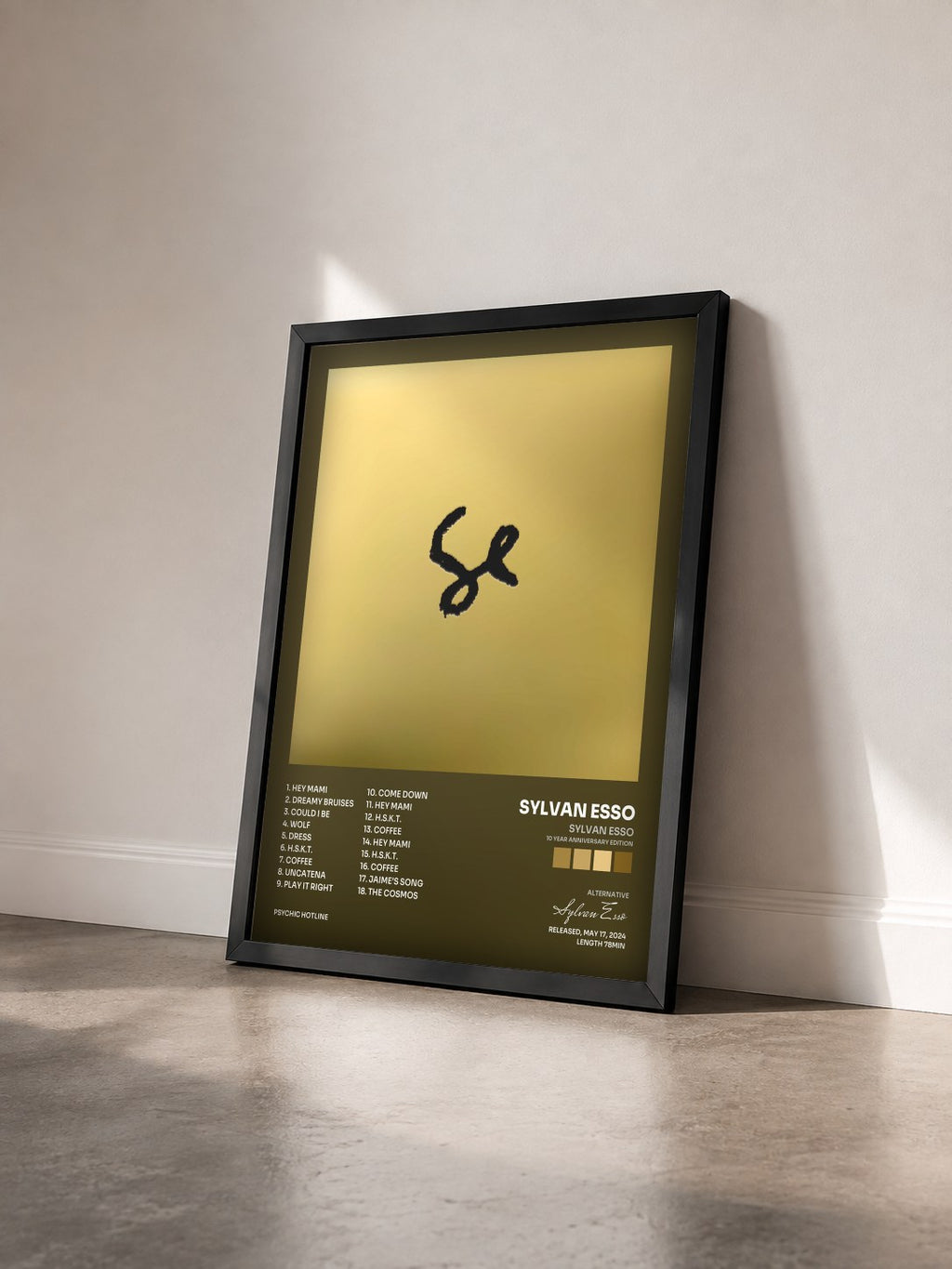 #noir Tableau de l'album Sylvan Esso (10 Year Anniversary Edition) de Sylvan Esso vu de trois quarts, cadre noir