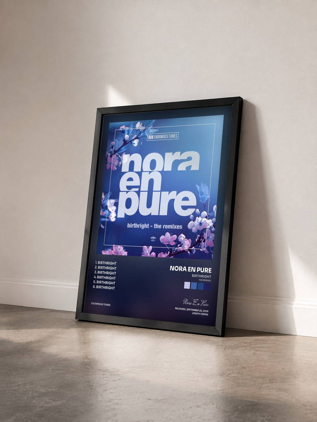 #noir Tableau de l'album Birthright (The Remixes) de Nora En Pure vu de trois quarts, cadre noir