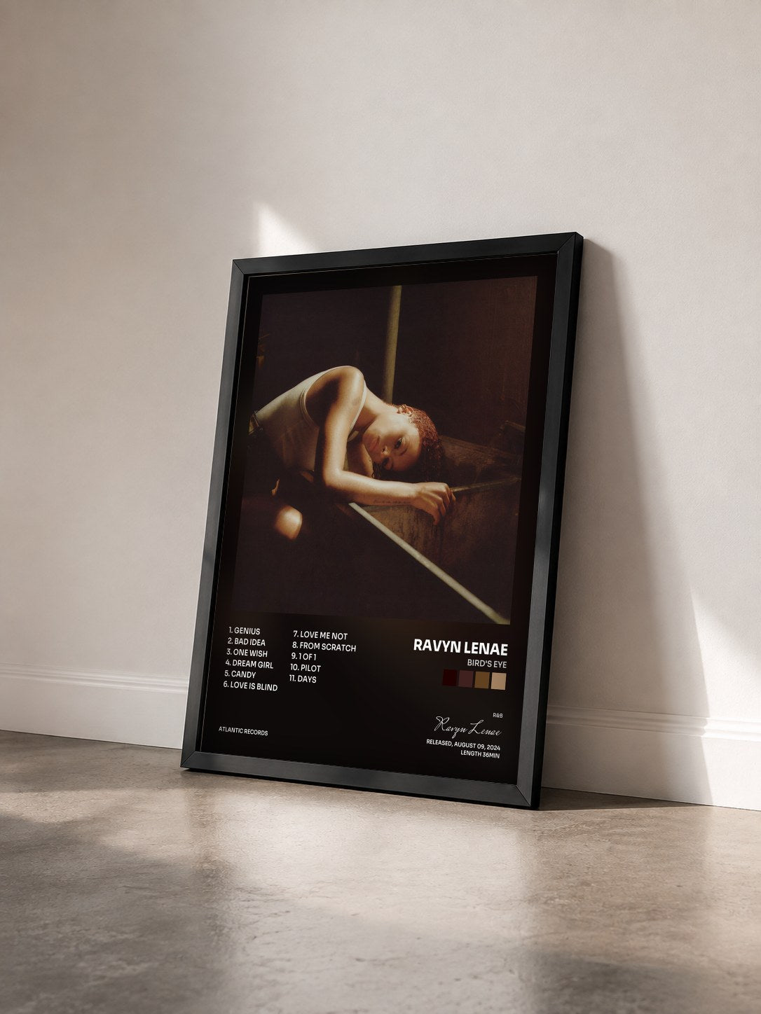 #noir Tableau de l'album Bird's Eye de Ravyn Lenae vu de trois quarts, cadre noir