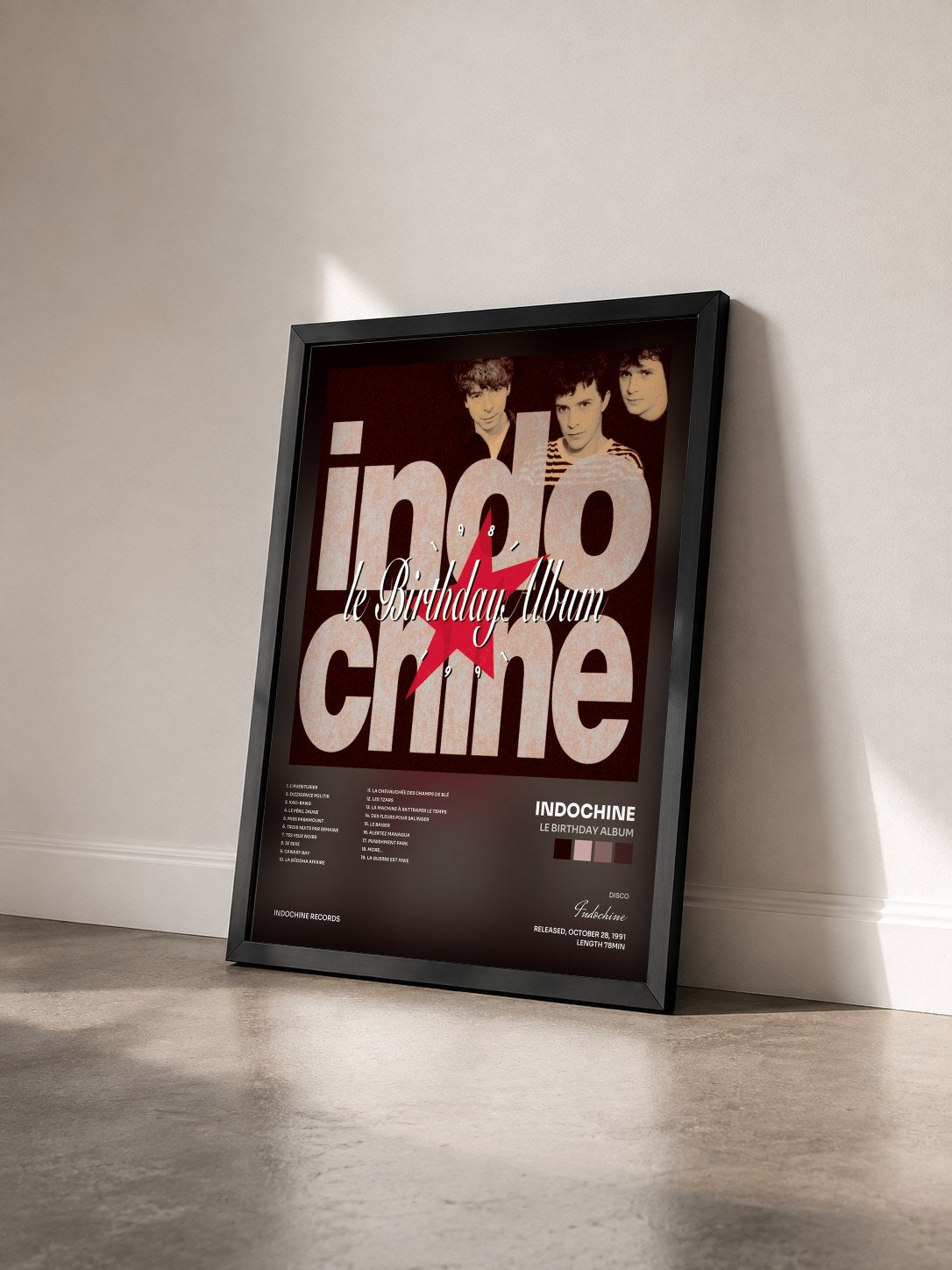 #noir Tableau de l'album Le Birthday album de Indochine vu de trois quarts, cadre noir