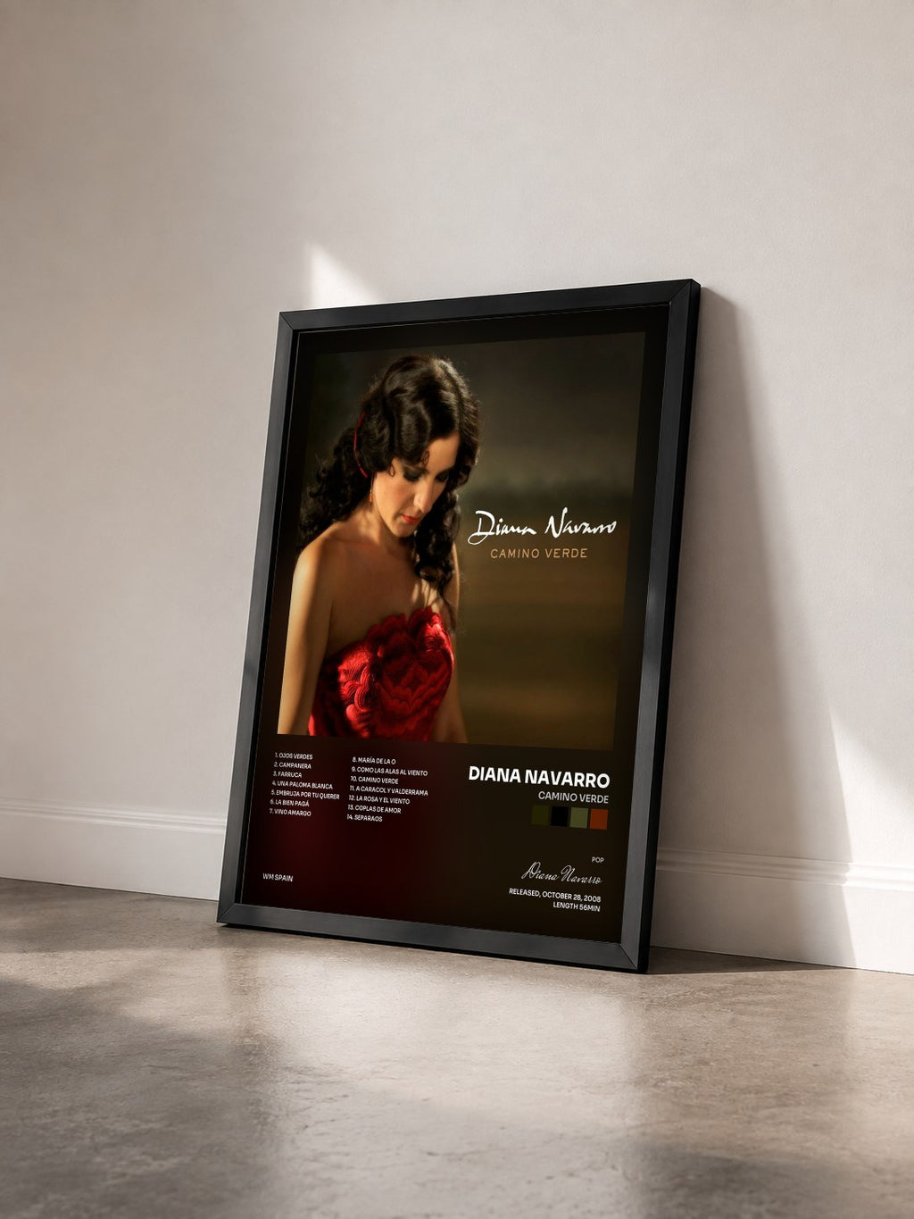 #noir Tableau de l'album Camino verde de Diana Navarro vu de trois quarts, cadre noir