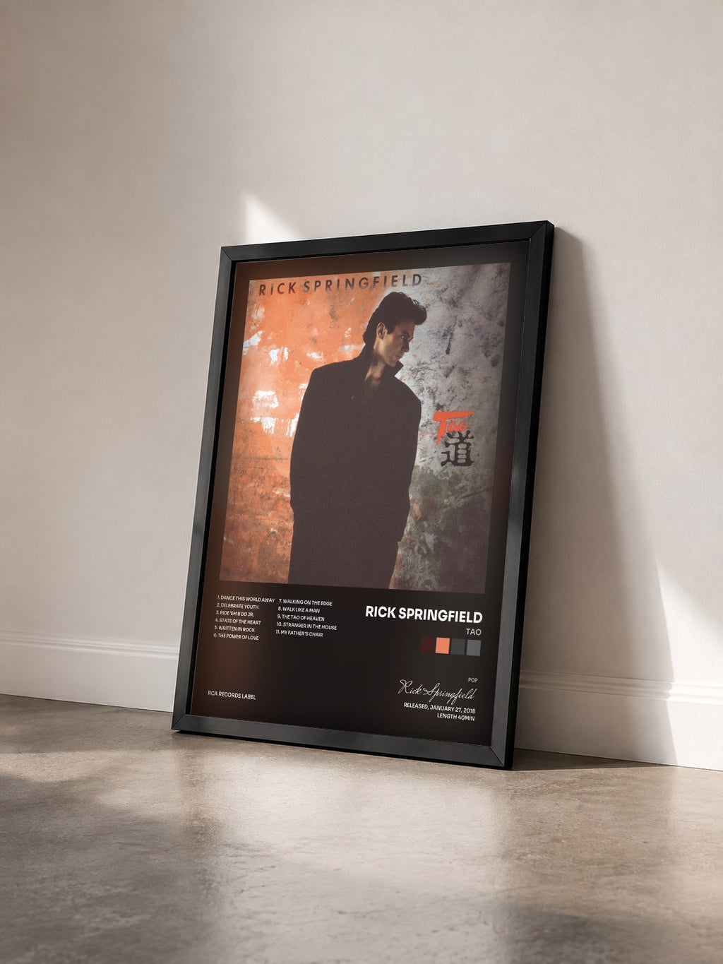 #noir Tableau de l'album Tao de Rick Springfield vu de trois quarts, cadre noir