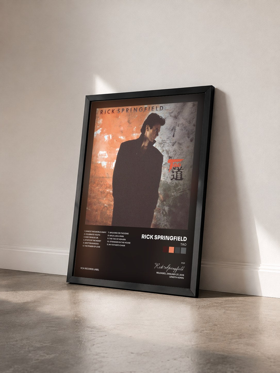 #noir Tableau de l'album Tao de Rick Springfield vu de trois quarts, cadre noir