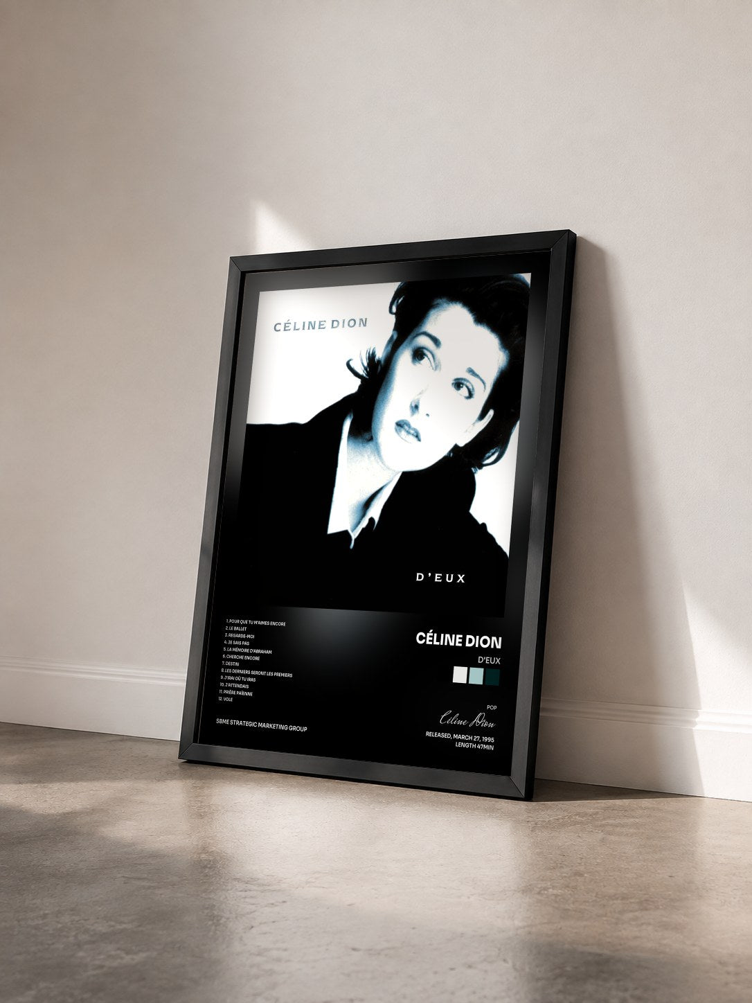 #noir Tableau de l'album D'Eux de Céline Dion vu de trois quarts, cadre noir