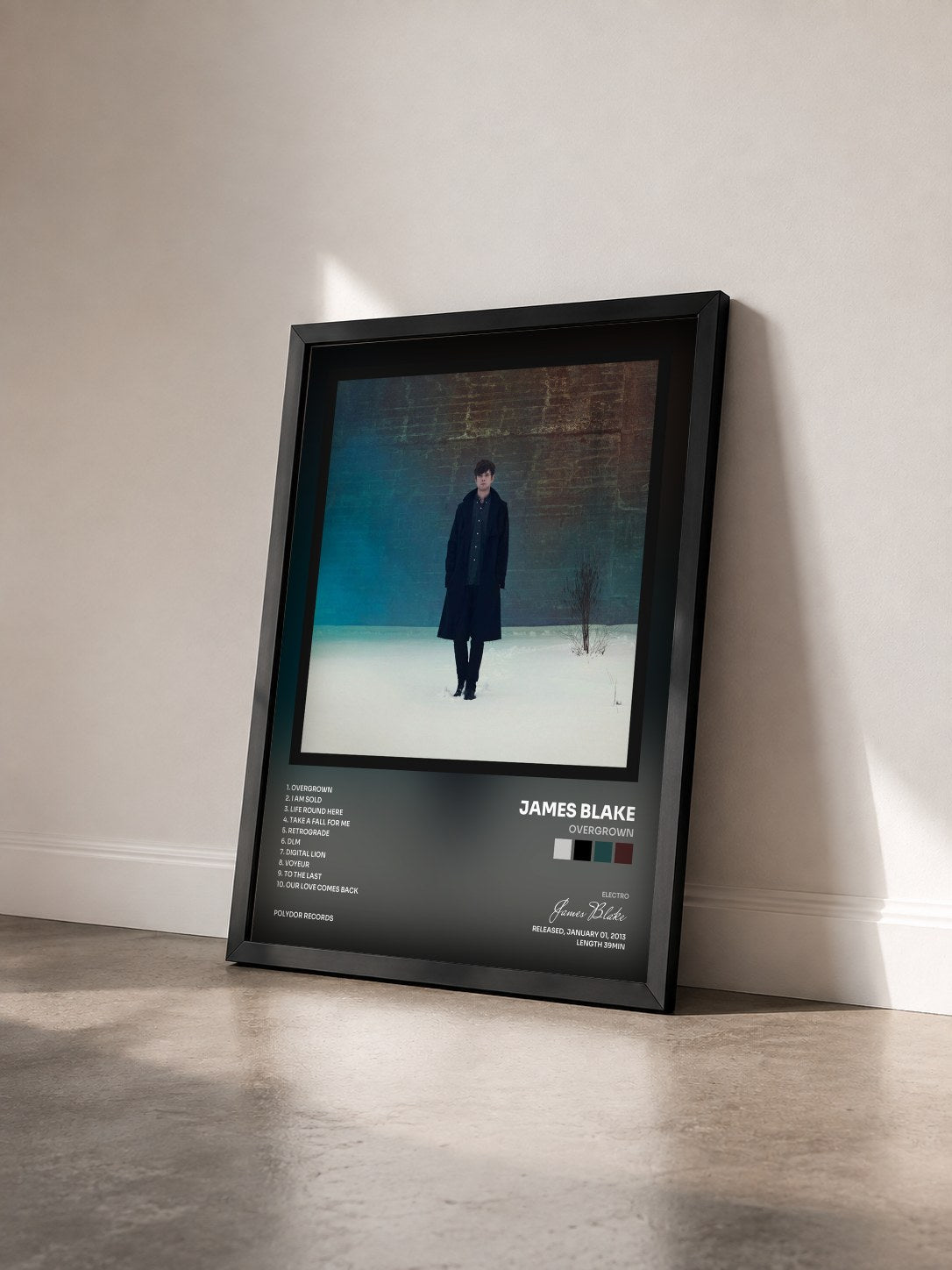 #noir Tableau de l'album Overgrown de James Blake vu de trois quarts, cadre noir