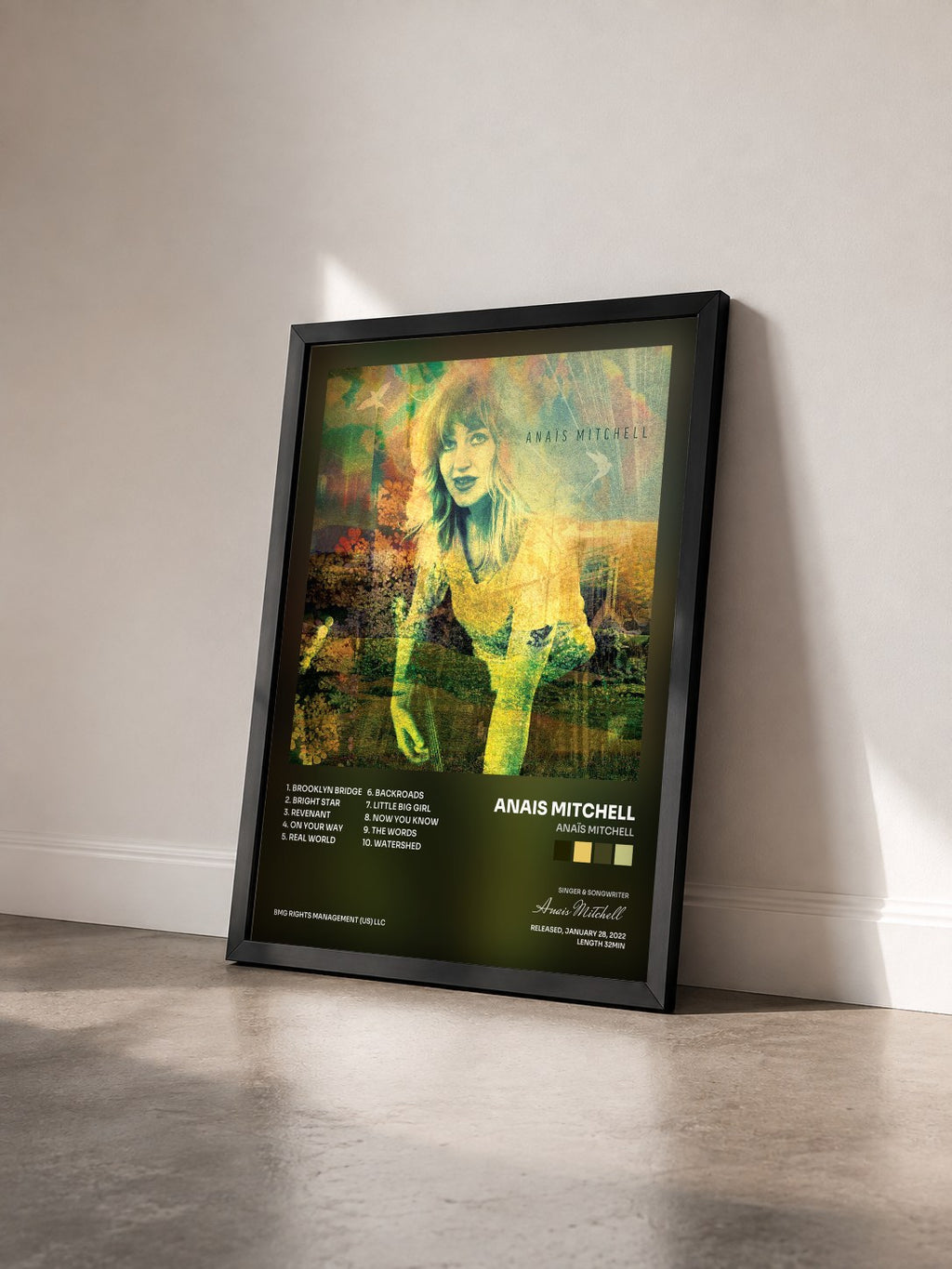 #noir Tableau de l'album Anaïs Mitchell de Anais Mitchell vu de trois quarts, cadre noir