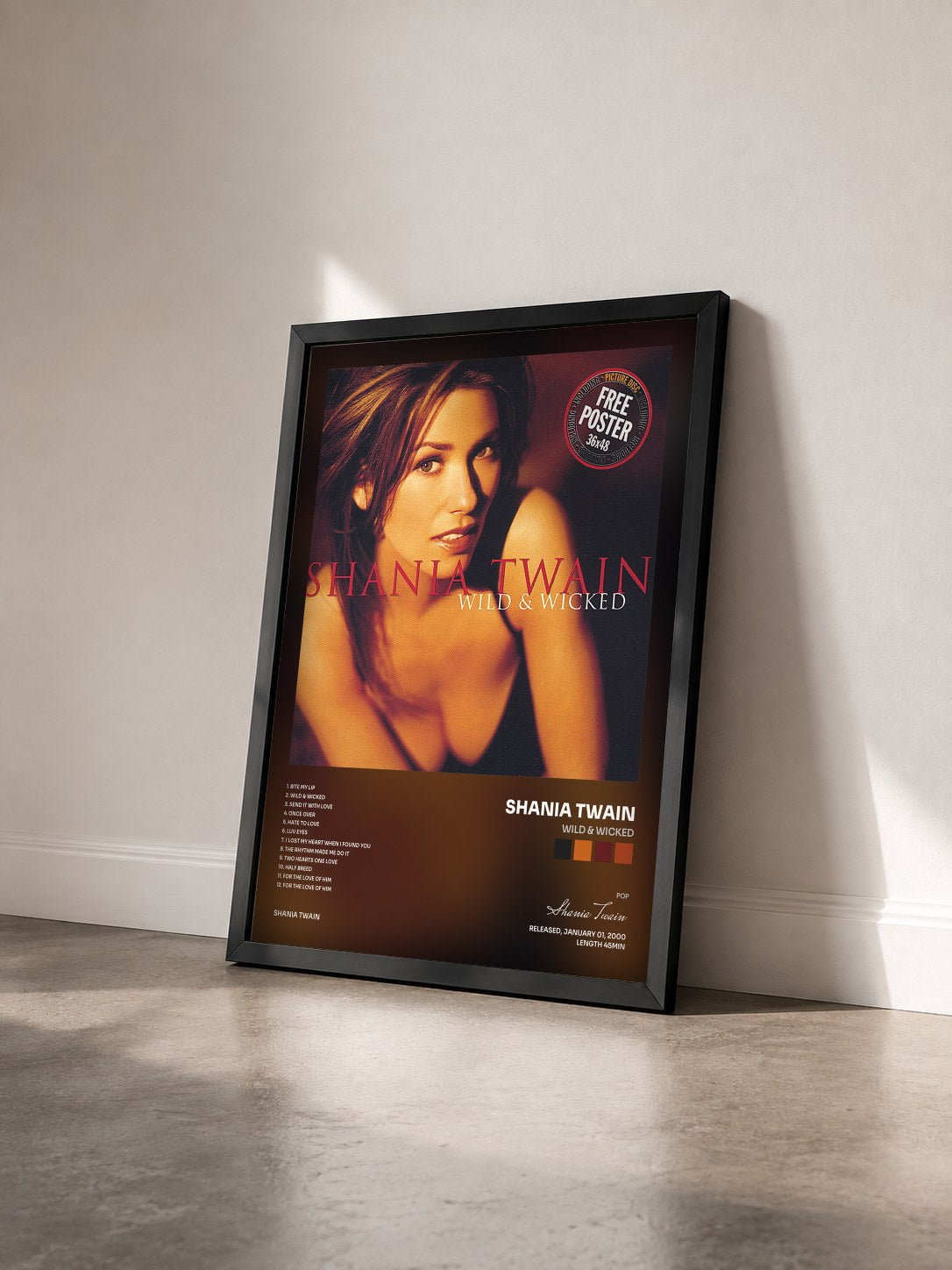 #noir Tableau de l'album Wild & Wicked de Shania Twain vu de trois quarts, cadre noir