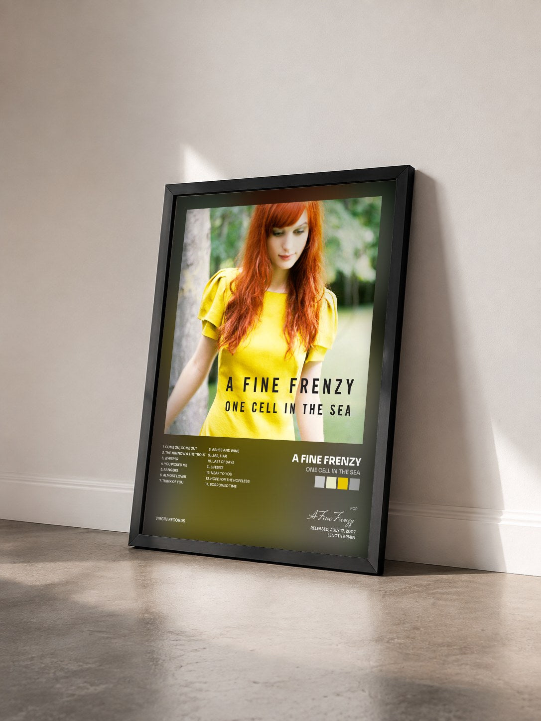 #noir Tableau de l'album One Cell In The Sea de A Fine Frenzy vu de trois quarts, cadre noir