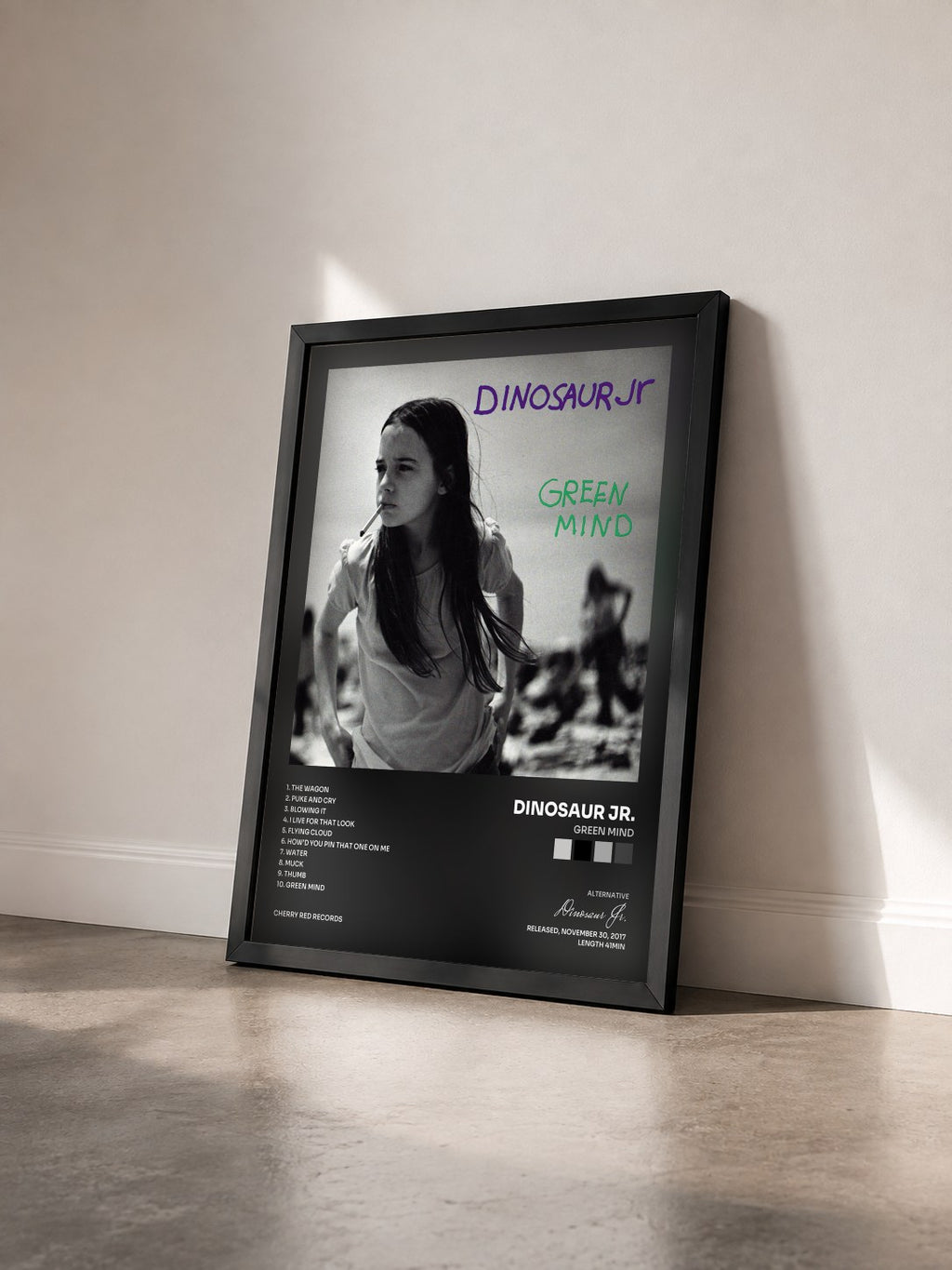#noir Tableau de l'album Green Mind de Dinosaur Jr. vu de trois quarts, cadre noir