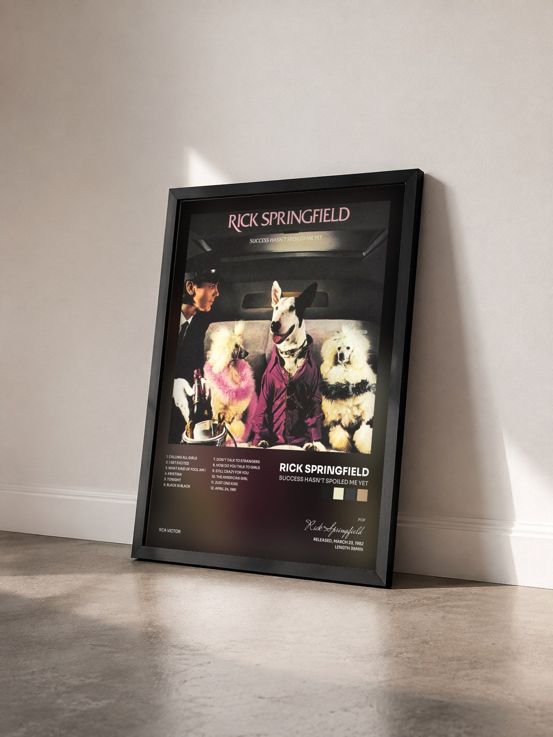 #noir Tableau de l'album Success Hasn't Spoiled Me Yet de Rick Springfield vu de trois quarts, cadre noir