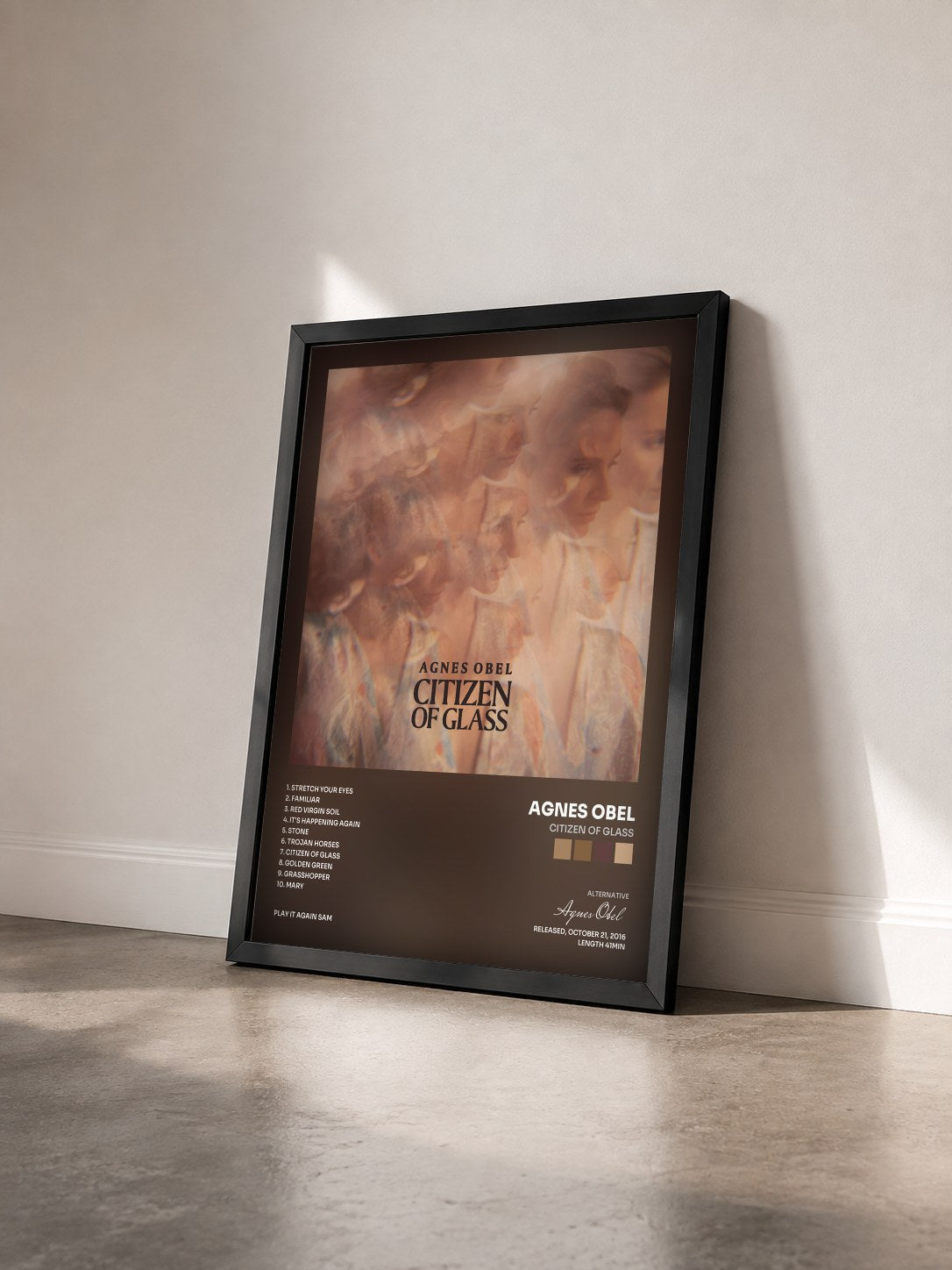#noir Tableau de l'album Citizen of Glass de Agnes Obel vu de trois quarts, cadre noir