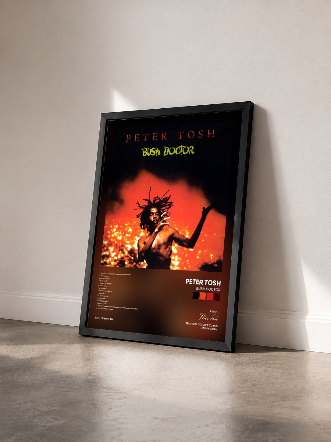 #noir Tableau de l'album Bush Doctor de Peter Tosh vu de trois quarts, cadre noir