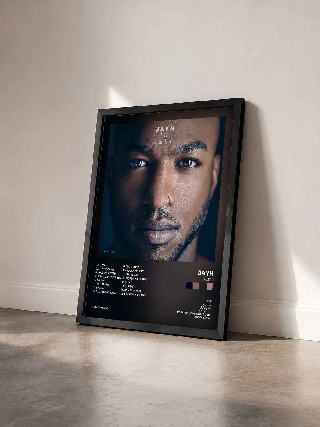 #noir Tableau de l'album Ik Leef de Jayh vu de trois quarts, cadre noir