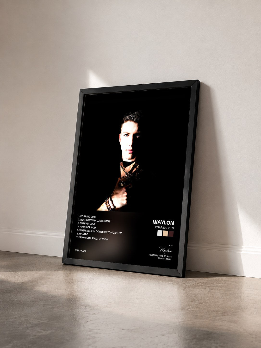 #noir Tableau de l'album Roaring 20's de Waylon vu de trois quarts, cadre noir