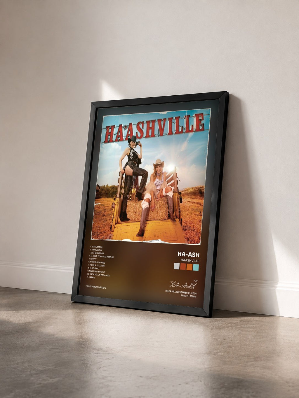 #noir Tableau de l'album HAASHVILLE de HA-ASH vu de trois quarts, cadre noir
