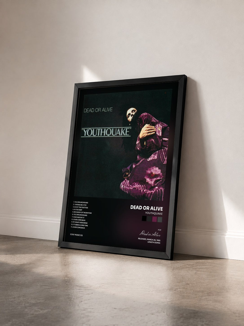 #noir Tableau de l'album Youthquake de Dead or Alive vu de trois quarts, cadre noir