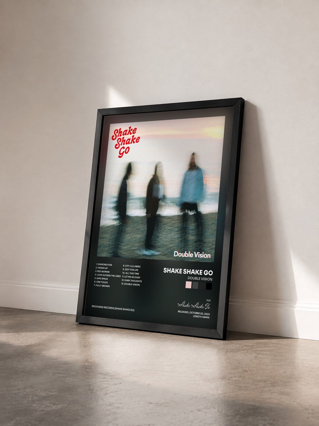 #noir Tableau de l'album Double Vision de Shake Shake Go vu de trois quarts, cadre noir
