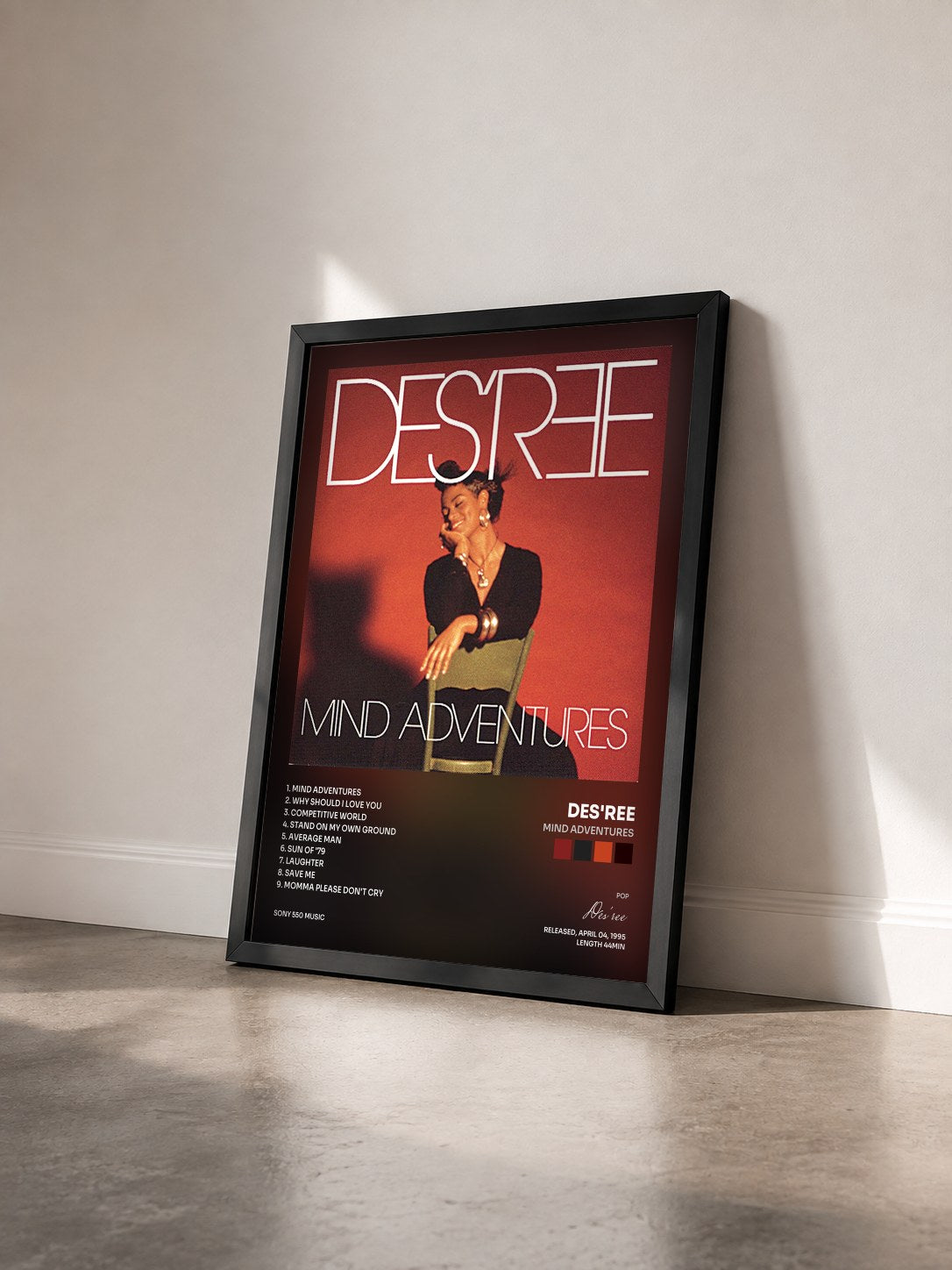 #noir Tableau de l'album Mind Adventures de Des'ree vu de trois quarts, cadre noir
