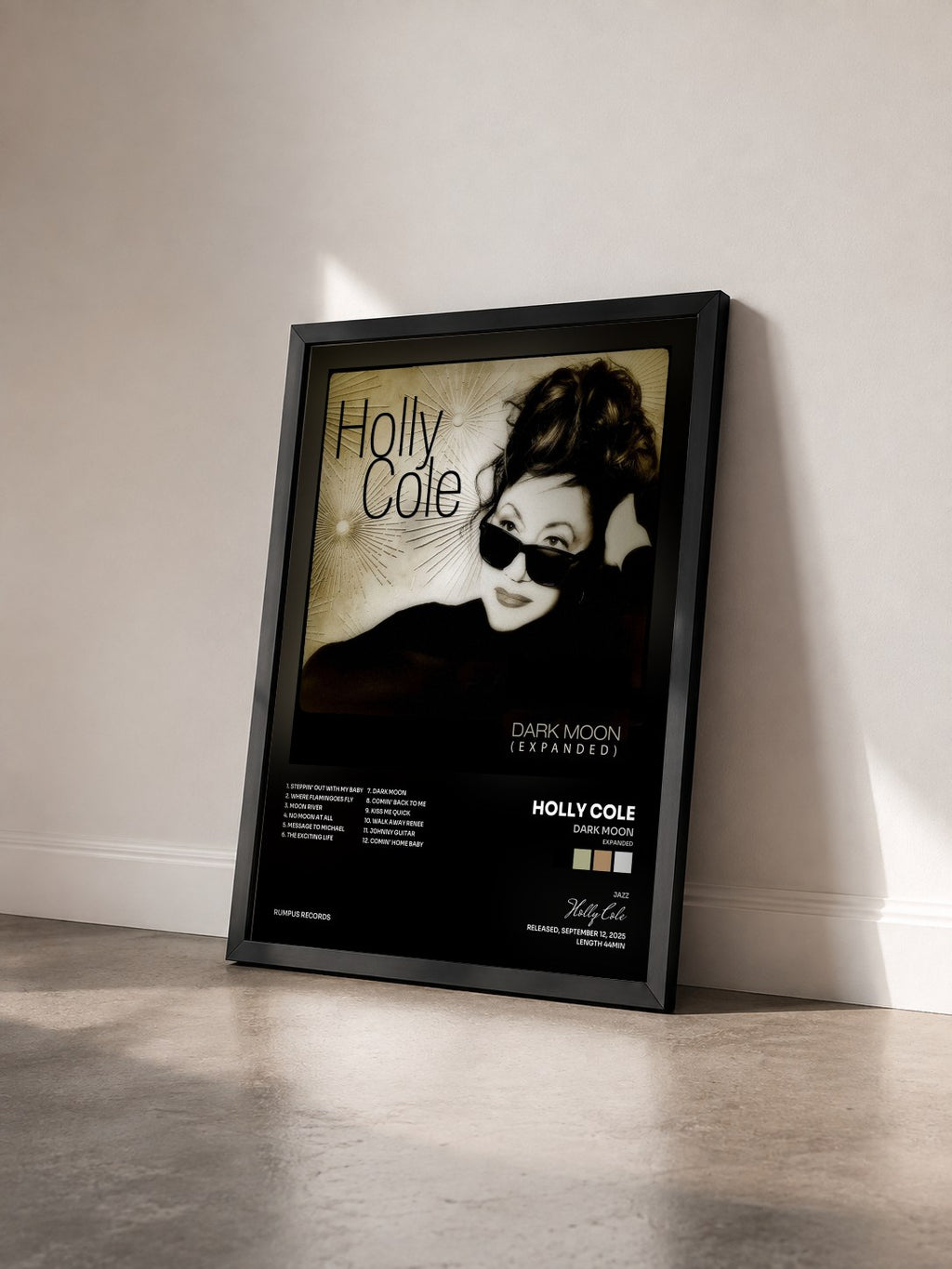 #noir Tableau de l'album Dark Moon (Expanded) de Holly Cole vu de trois quarts, cadre noir