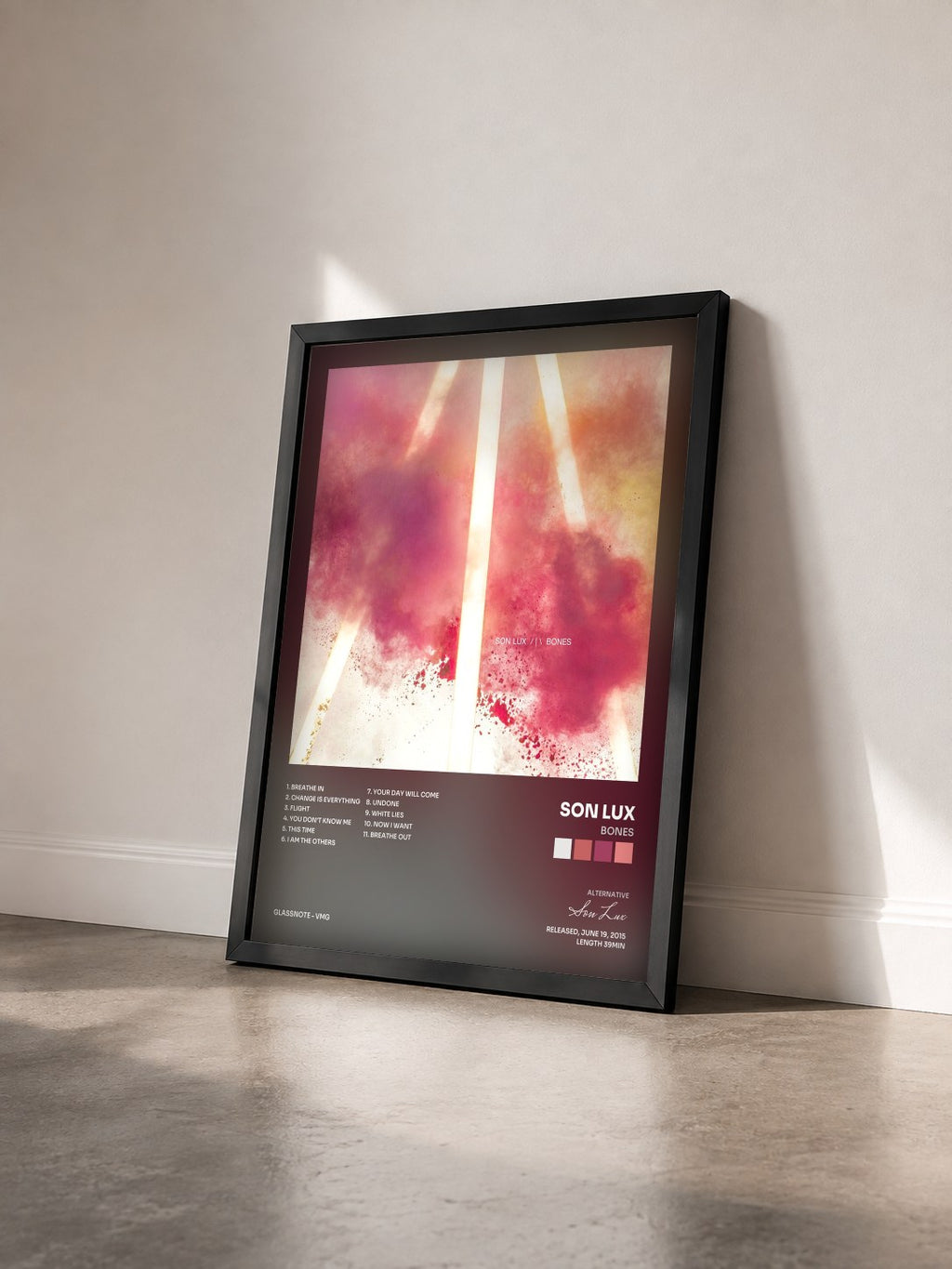#noir Tableau de l'album Bones de Son Lux vu de trois quarts, cadre noir