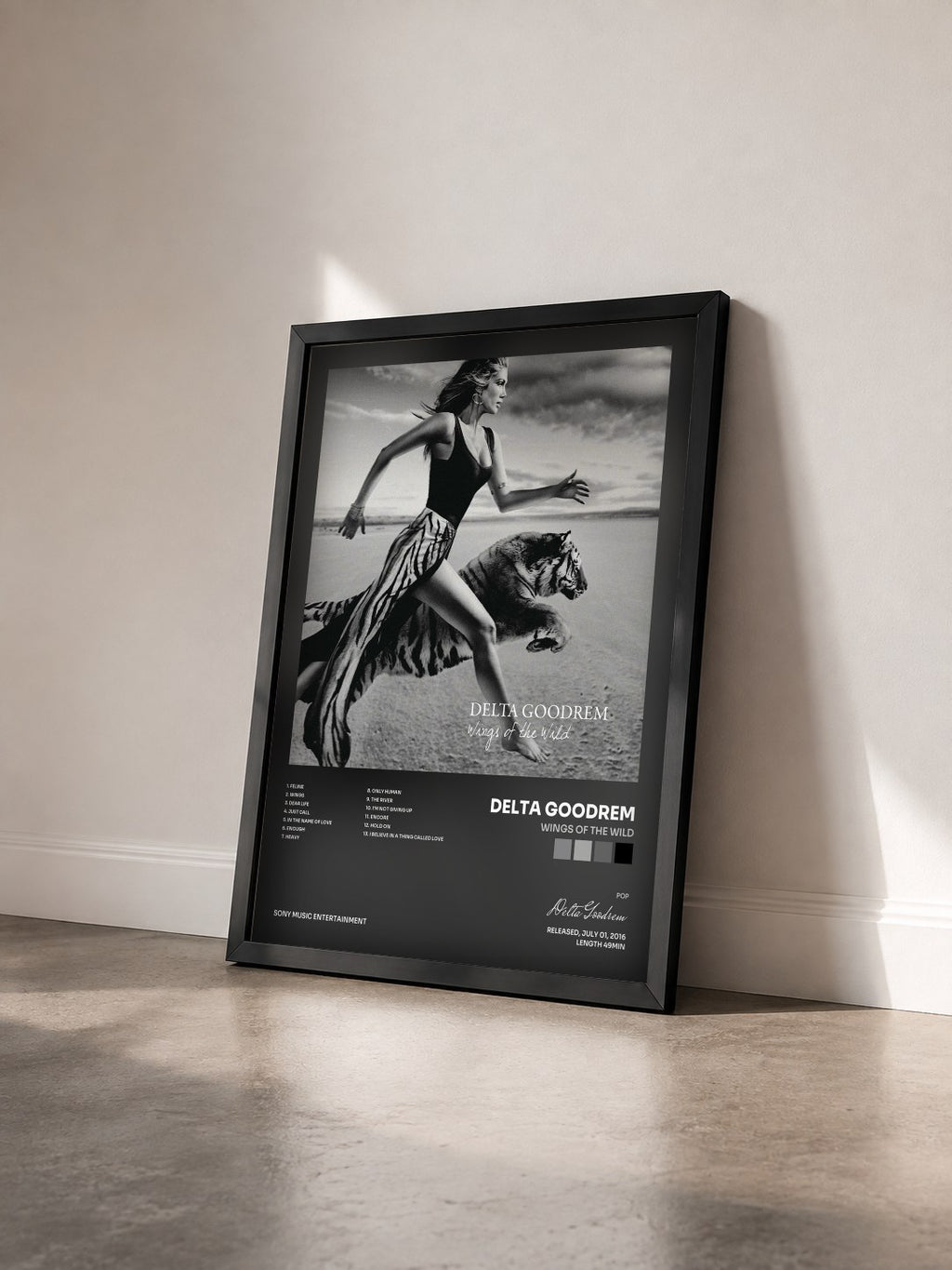 #noir Tableau de l'album Wings of the Wild de Delta Goodrem vu de trois quarts, cadre noir