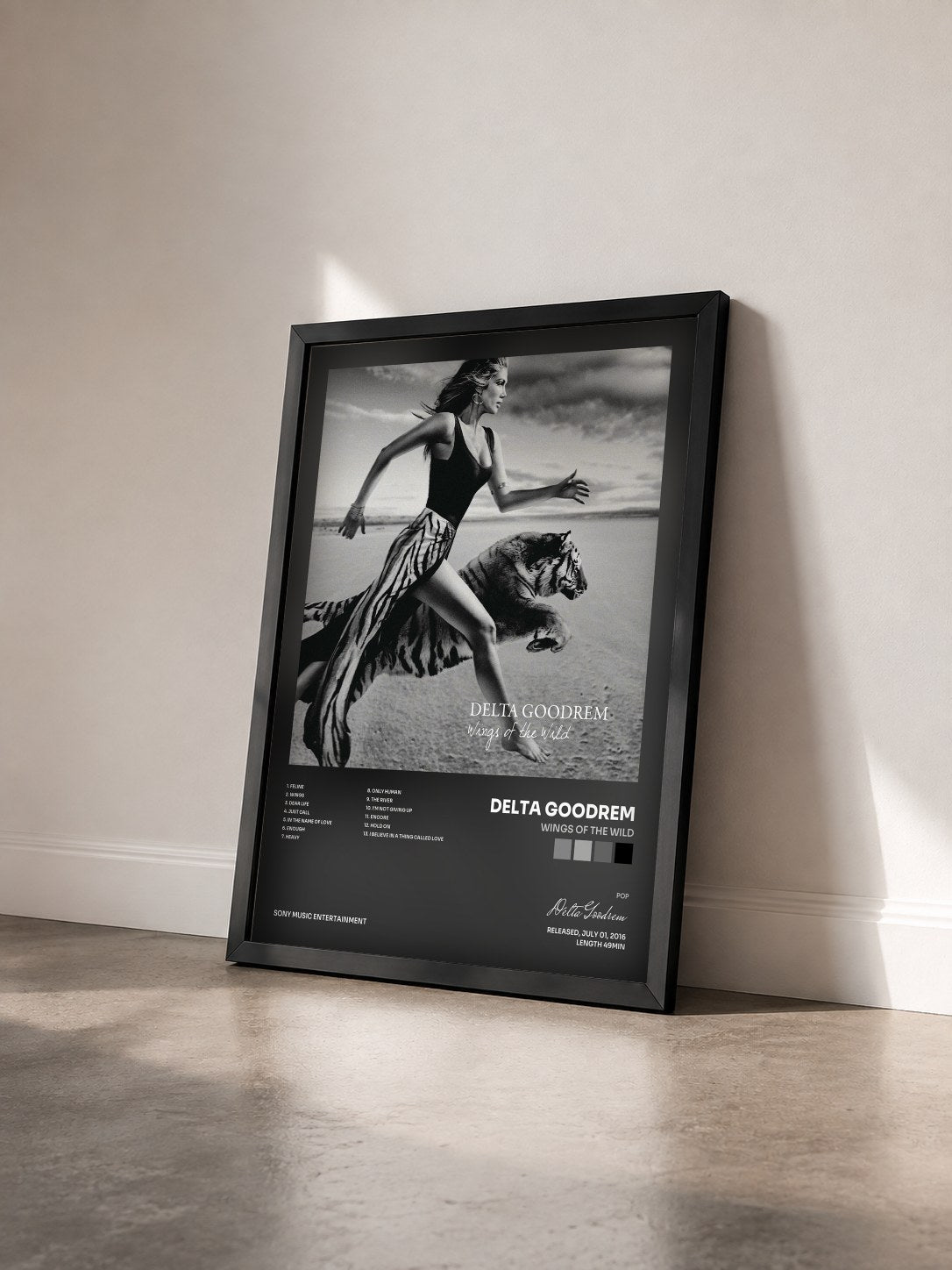 #noir Tableau de l'album Wings of the Wild de Delta Goodrem vu de trois quarts, cadre noir
