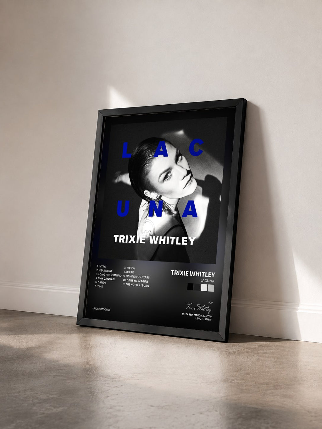 #noir Tableau de l'album Lacuna de Trixie Whitley vu de trois quarts, cadre noir
