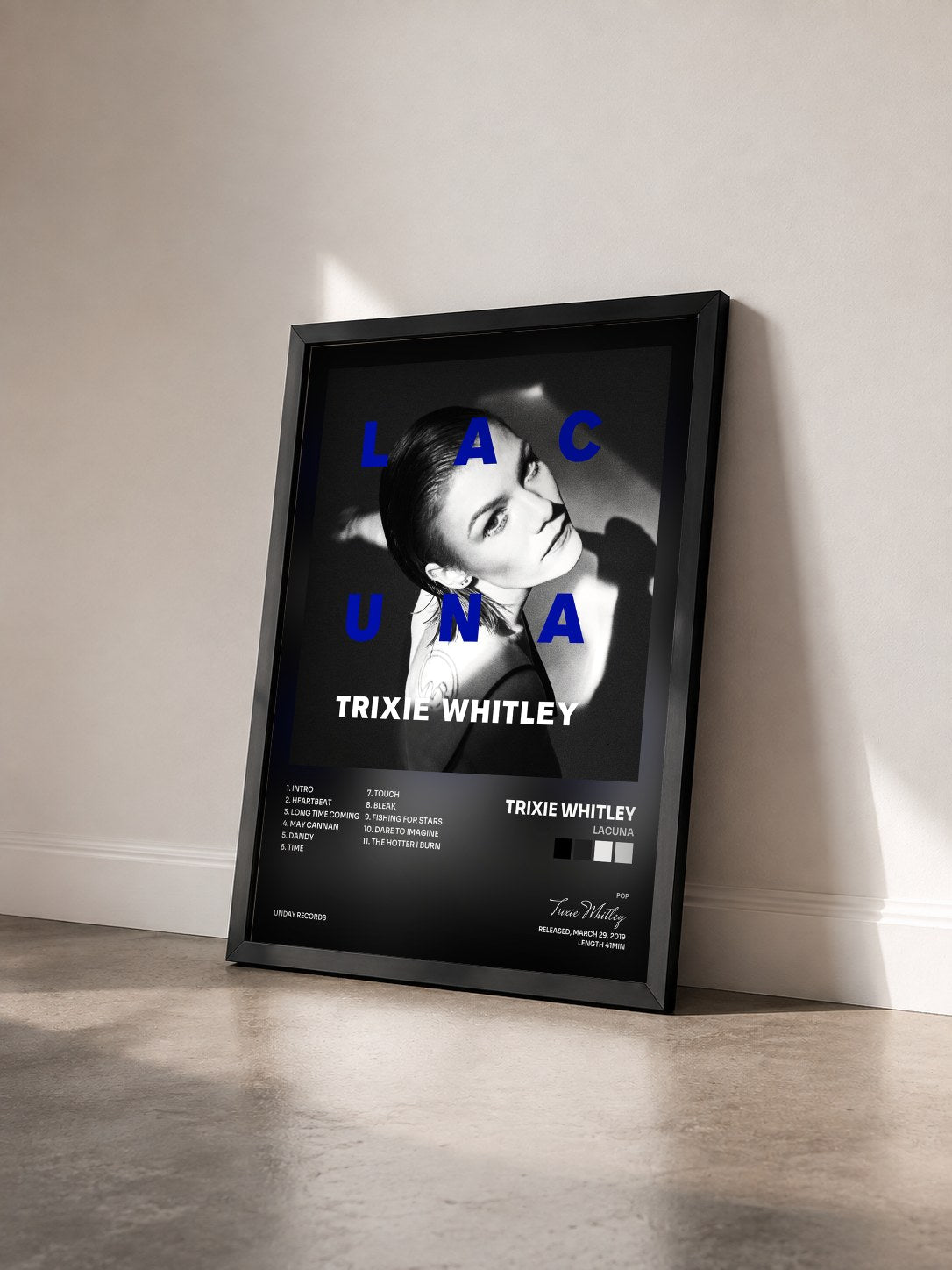 #noir Tableau de l'album Lacuna de Trixie Whitley vu de trois quarts, cadre noir