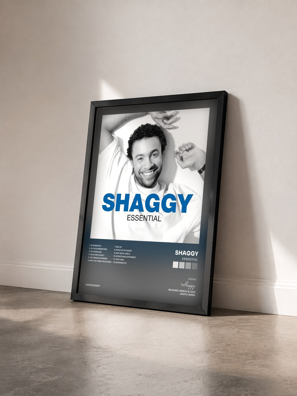 #noir Tableau de l'album Essential de Shaggy vu de trois quarts, cadre noir