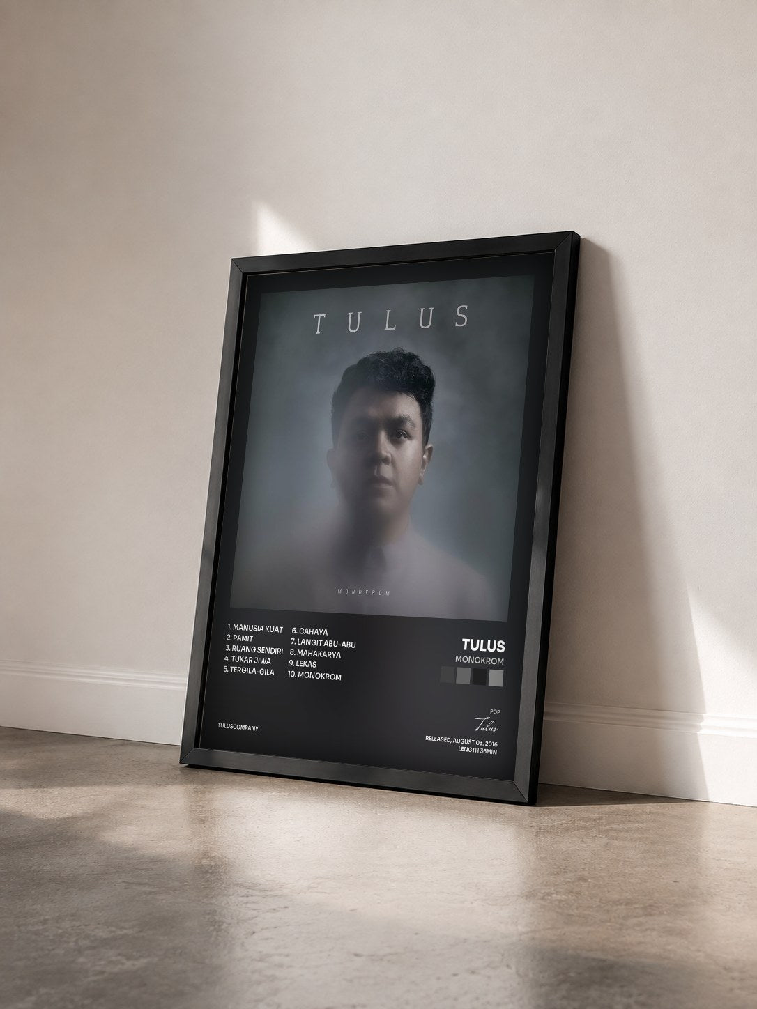 #noir Tableau de l'album Monokrom de Tulus vu de trois quarts, cadre noir