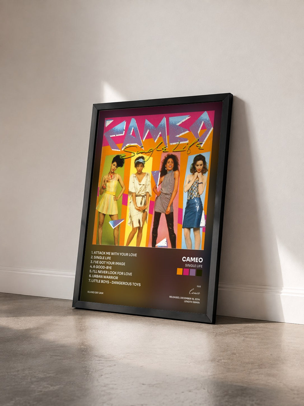 #noir Tableau de l'album Single Life de Cameo vu de trois quarts, cadre noir