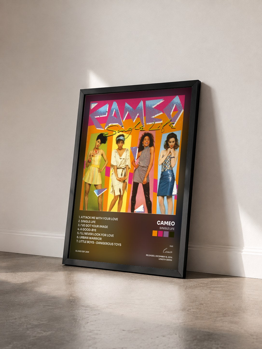 #noir Tableau de l'album Single Life de Cameo vu de trois quarts, cadre noir