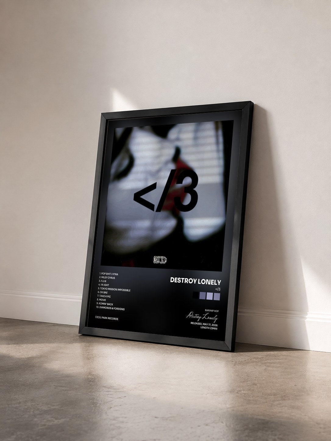 #noir Tableau de l'album </3 de Destroy Lonely vu de trois quarts, cadre noir