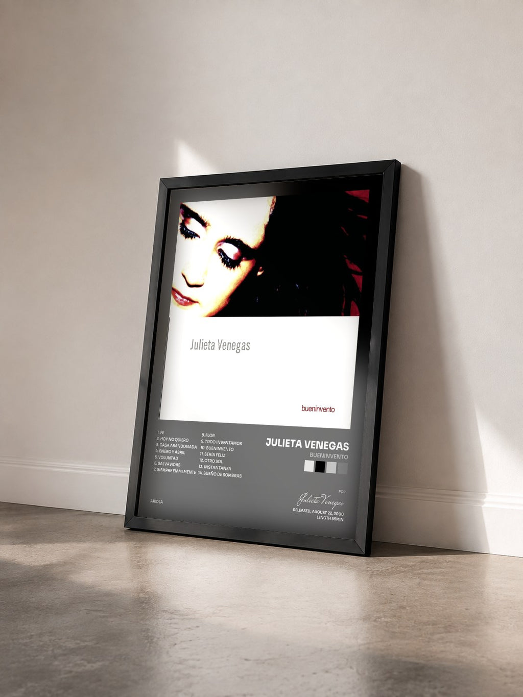 #noir Tableau de l'album Bueninvento de Julieta Venegas vu de trois quarts, cadre noir