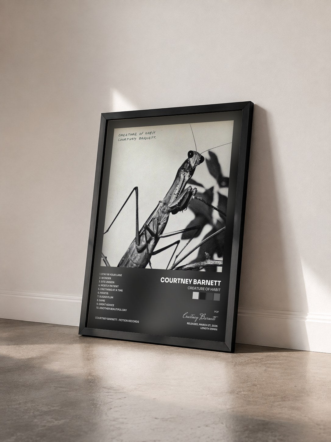 #noir Tableau de l'album Creature of Habit de Courtney Barnett vu de trois quarts, cadre noir