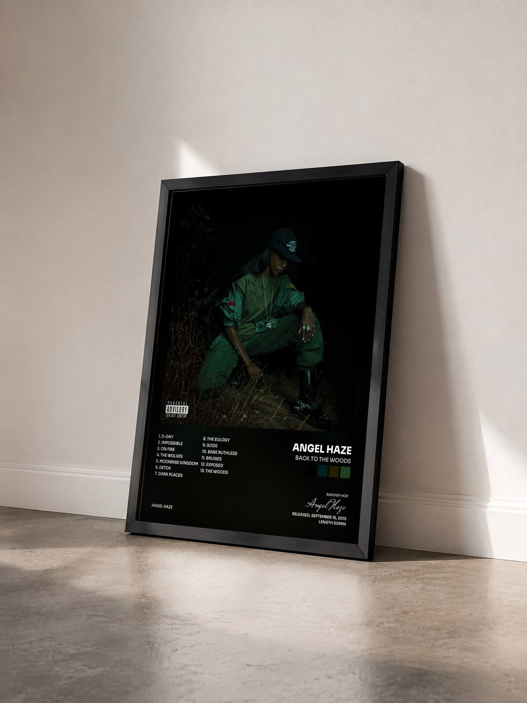 #noir Tableau de l'album Back to the Woods de Angel Haze vu de trois quarts, cadre noir