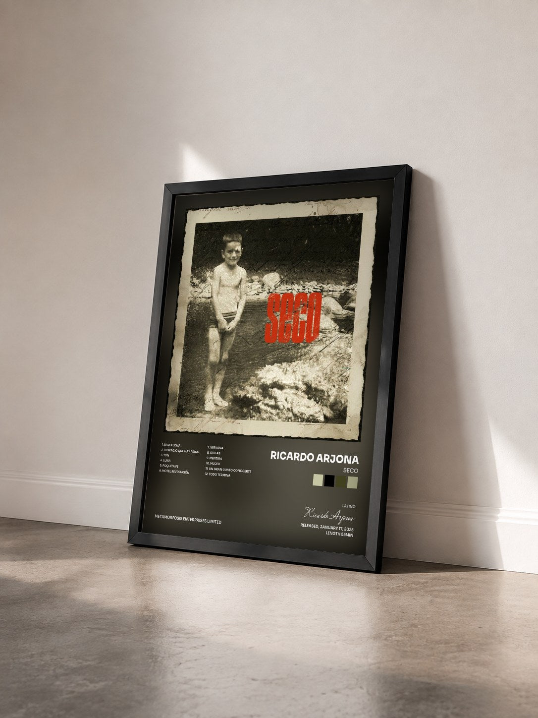 #noir Tableau de l'album SECO de Ricardo Arjona vu de trois quarts, cadre noir